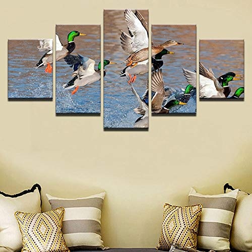 EUFJHS 5-Teilige Leinwand Auf Leinwand Gedruckt Hd  Canvas Prints Wall Art Pictures Mallard Ducks Rising from Water Painting Living Room Decor Poster-A Rahmenlos