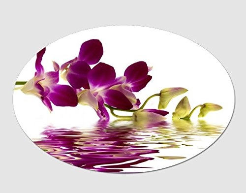 Apalis Canvas Art Oval Pink Orchid Waters Leinwandbilder, Leinwandbild, Leinwandbild, Leinwanddruck, Leinwandbild, Leinwandbild, Wandkunst