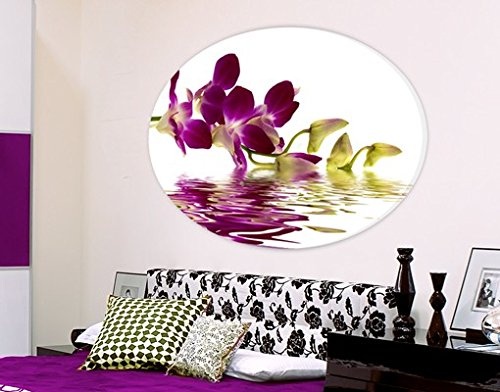 Apalis Canvas Art Oval Pink Orchid Waters Leinwandbilder, Leinwandbild, Leinwandbild, Leinwanddruck, Leinwandbild, Leinwandbild, Wandkunst