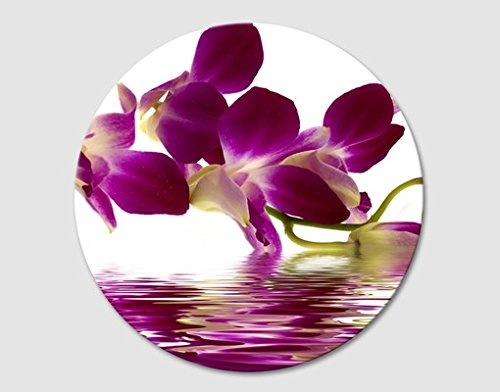 Apalis Canvas Art Circle Pink Orchid Waters...