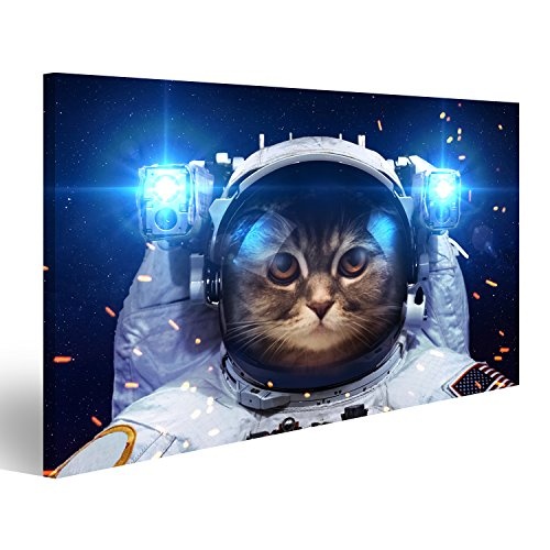 islandburner Bild Bilder auf Leinwand Katze im Weltall Astronaut Poster, Leinwandbild, Wandbilder