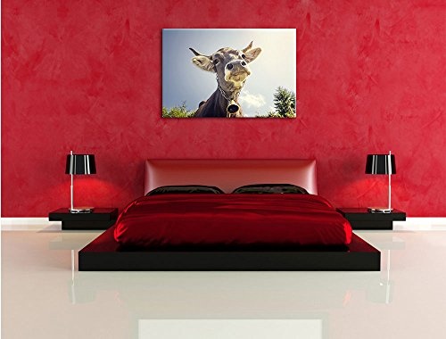 Pixxprint Lustiges Portrait Einer Kuh, Format: 100x70 auf Leinwand