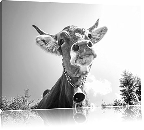 Pixxprint Lustiges Portrait Einer Kuh Kunst B&W, Format: 80x60 auf Leinwand