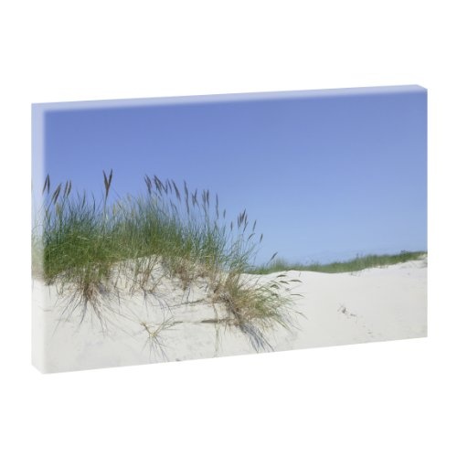 Strandhafer | Panoramabild im XXL Format | Kunstdruck auf...