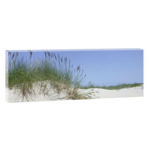 Strandhafer - Trendiger Kunstdruck auf Leinwand im XXL Format - 120cm x 40 cm