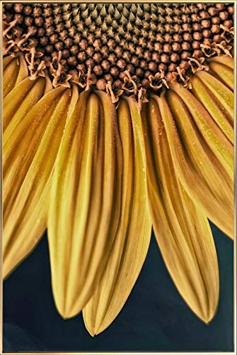 KunstLoft® Gerahmte Fotografie Sunflower 60x90cm | moderner Foto-Print hinter Echtglas | Sonnenblume Blüte Gelb Schwarz | Fotokunst inkl. Aluminium-Bilderrahmen