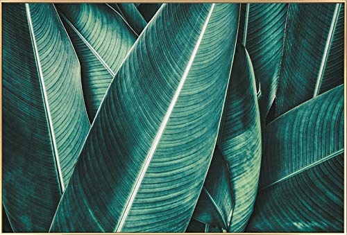 KunstLoft® Gerahmte Fotografie Tropical Leaves 90x60cm | moderner Foto-Print hinter Echtglas | Blätter Palme Grün Schwarz | Fotokunst inkl. Aluminium-Bilderrahmen