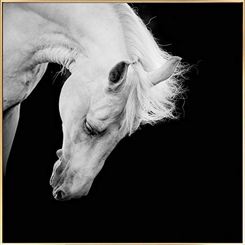 KunstLoft® Gerahmte Fotografie Lowered Look 80x80cm | moderner Foto-Print hinter Echtglas | Pferd Kopf Schwarz-Weiß | Fotokunst inkl. Aluminium-Bilderrahmen