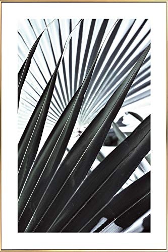 KunstLoft® Gerahmte Fotografie Tropical Dream 60x90cm | moderner Foto-Print hinter Echtglas | Blätter Baum Schwarz-Weiß | Fotokunst inkl. Aluminium-Bilderrahmen