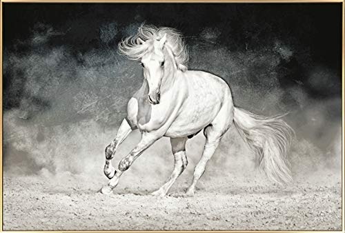 KunstLoft® Gerahmte Fotografie White Horse 90x60cm | moderner Foto-Print hinter Echtglas | Pferd Schimmel Schwarz-Weiß | Fotokunst inkl. Aluminium-Bilderrahmen