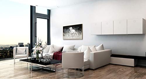 KunstLoft® Gerahmte Fotografie White Horse 90x60cm | moderner Foto-Print hinter Echtglas | Pferd Schimmel Schwarz-Weiß | Fotokunst inkl. Aluminium-Bilderrahmen