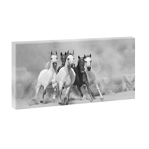 Wilde Pferde 2 | Panoramabild im XXL Format | Kunstdruck...