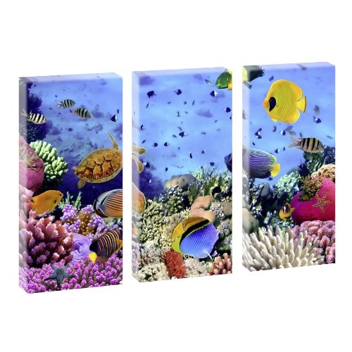 Kunstdruck auf Leinwand - Unterwasserwelt - mehrteilig...