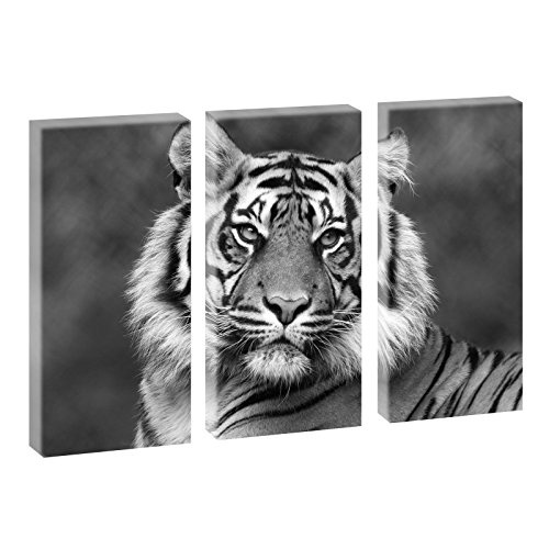 Tiger 1| Bilder auf Leinwand | Wandbild im XXL Format |...