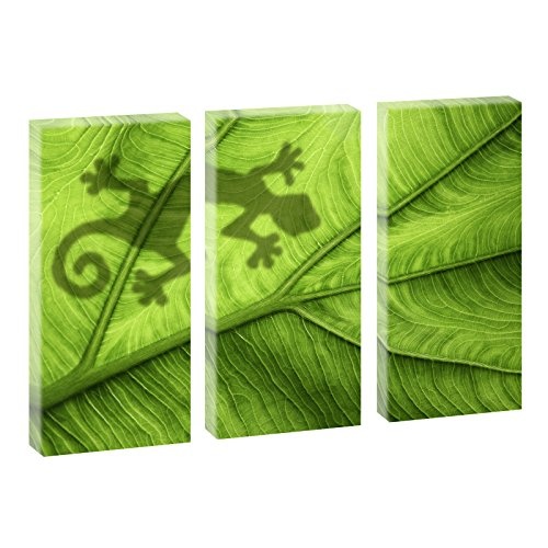 Gecko auf Blatt | Trendiger Kunstdruck auf Leinwand | XXL Format | Verschiedene Farben und Größen | Poster | Bild (130 cm x 80 cm (3-teilig), Farbig)