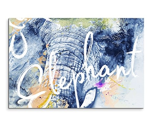 Paul Sinus Art Bild Leinwand 70x40cm Wilde Elefant mit Kalligraphie