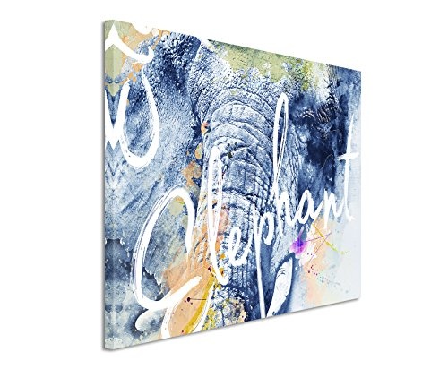 Paul Sinus Art Bild Leinwand 70x40cm Wilde Elefant mit Kalligraphie