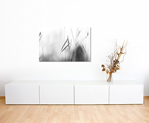 Paul Sinus Art Kunstfoto auf Leinwand 60x40cm Naturfotografie - Grashalme im Wind auf Leinwand Exklusives Wandbild Moderne Fotografie für Ihre Wand in Vielen Größen