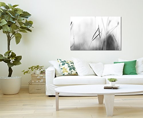 Paul Sinus Art Kunstfoto auf Leinwand 60x40cm Naturfotografie - Grashalme im Wind auf Leinwand Exklusives Wandbild Moderne Fotografie für Ihre Wand in Vielen Größen