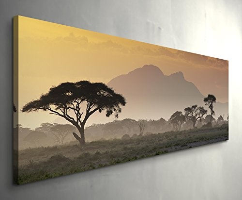 Paul Sinus Art Leinwandbilder | Bilder Leinwand 120x40cm wunderschöner Sonnenuntergang in der afrikanischen Savanne