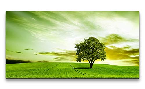 Paul Sinus Art Baum im grünen 120x 60cm Panorama Leinwand Bild XXL Format Wandbilder Wohnzimmer Wohnung Deko Kunstdrucke