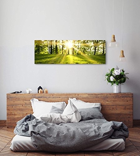 Paul Sinus Art Leinwandbilder | Bilder Leinwand 120x40cm Frühlingserwachen im Wald