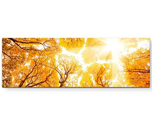 Paul Sinus Art Leinwandbilder | Bilder Leinwand 150x50cm Golden gefärbter Herbstwald