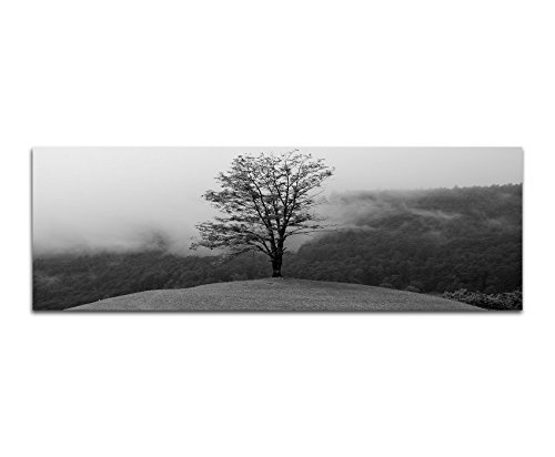 Leinwandfoto als Panorama SCHWARZ / WEISS 150x50cm Wald See Nebel Insel Baum Spiegelung