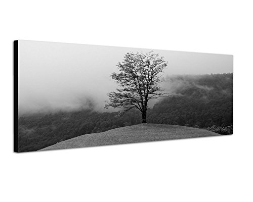 Leinwandfoto als Panorama SCHWARZ / WEISS 150x50cm Wald See Nebel Insel Baum Spiegelung