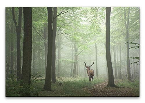 Paul Sinus Art Rehbock in Einem Wald 60 x 90 cm Inspirierende Fotokunst in Museums-Qualität für Ihr Zuhause als Wandbild auf Leinwand in