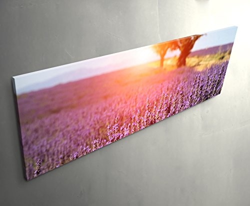 Paul Sinus Art Leinwandbilder | Bilder Leinwand 150x50cm Lavendelfeld in der Provence