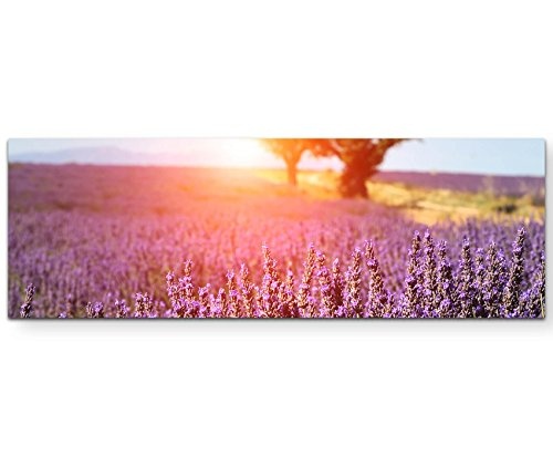 Paul Sinus Art Leinwandbilder | Bilder Leinwand 150x50cm Lavendelfeld in der Provence