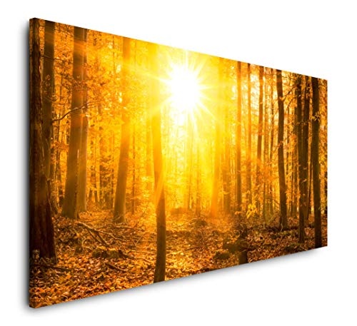 Paul Sinus Art Sonnenuntergang in Wäldern 120x 60cm...