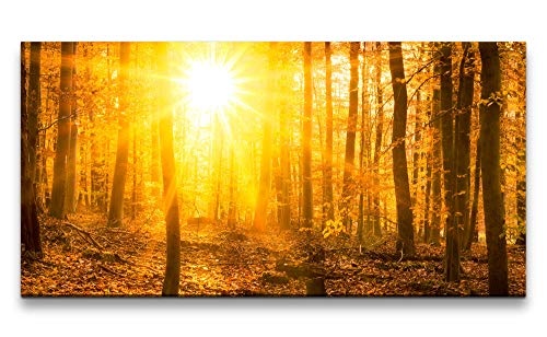 Paul Sinus Art Sonnenuntergang in Wäldern 120x 60cm Panorama Leinwand Bild XXL Format Wandbilder Wohnzimmer Wohnung Deko Kunstdrucke