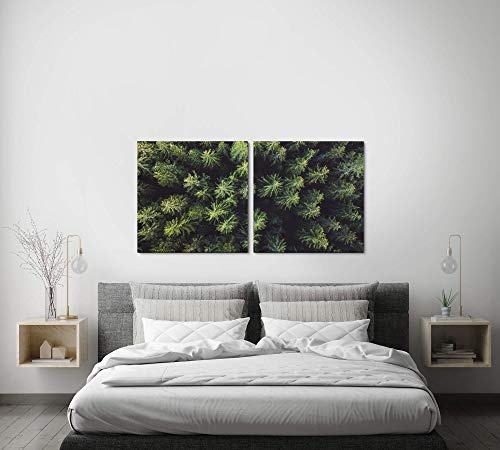 Paul Sinus Art GmbH Bäume und Wälder 120x60cm - 2 Wandbilder je 60x60cm Kunstdruck modern Wandbilder XXL Wanddekoration Design Wand Bild