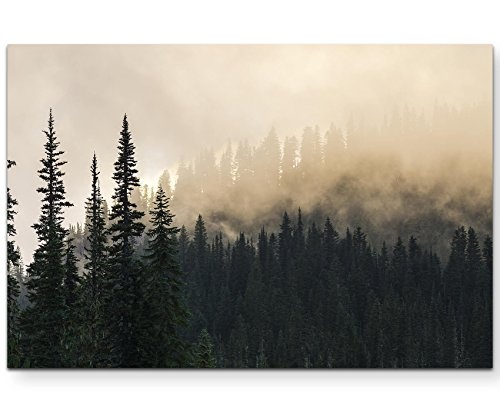 Paul Sinus Art Leinwandbilder | Bilder Leinwand 120x80cm Wald im Nebel