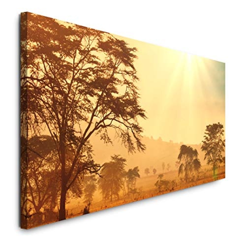 Paul Sinus Art GmbH Afrika Landschaft 120x 50cm Panorama Leinwand Bild XXL Format Wandbilder Wohnzimmer Wohnung Deko Kunstdrucke