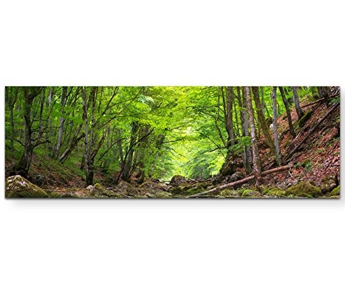 Paul Sinus Art Leinwandbilder | Bilder Leinwand 120x40cm Fluss Tief im Wald