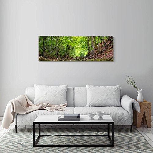 Paul Sinus Art Leinwandbilder | Bilder Leinwand 120x40cm Fluss Tief im Wald