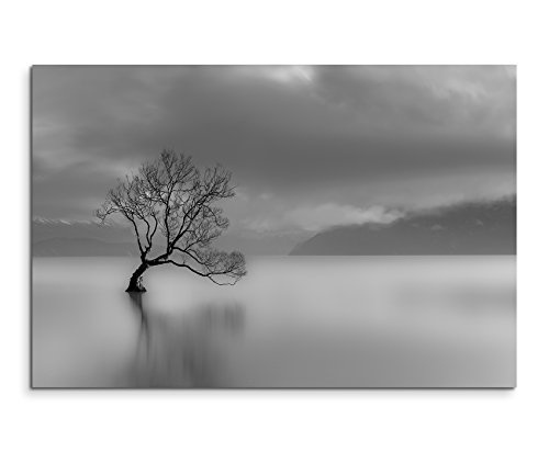 Paul Sinus Art Kunstfoto auf Leinwand 60x40cm Landschaftsfotografie - Einsamer Baum am Wanaka See, Neuseeland auf Leinwand Exklusives Wandbild Moderne Fotografie für Ihre Wand in Vielen Größen