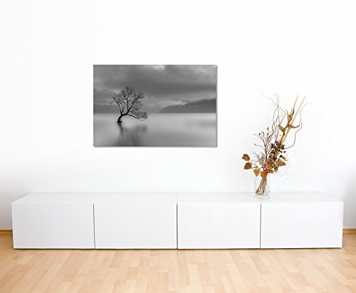 Paul Sinus Art Kunstfoto auf Leinwand 60x40cm Landschaftsfotografie - Einsamer Baum am Wanaka See, Neuseeland auf Leinwand Exklusives Wandbild Moderne Fotografie für Ihre Wand in Vielen Größen