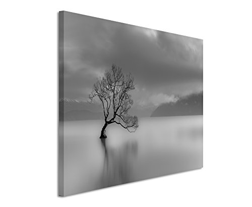 Paul Sinus Art Kunstfoto auf Leinwand 60x40cm Landschaftsfotografie - Einsamer Baum am Wanaka See, Neuseeland auf Leinwand Exklusives Wandbild Moderne Fotografie für Ihre Wand in Vielen Größen