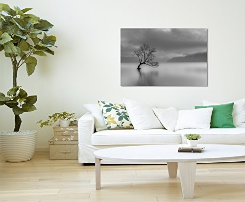 Paul Sinus Art Kunstfoto auf Leinwand 60x40cm Landschaftsfotografie - Einsamer Baum am Wanaka See, Neuseeland auf Leinwand Exklusives Wandbild Moderne Fotografie für Ihre Wand in Vielen Größen