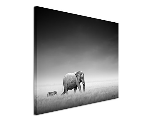 Paul Sinus Art Kunstfoto auf Leinwand 60x40cm Tierfotografie - Elefant und Zebra auf Leinwand Exklusives Wandbild Moderne Fotografie für Ihre Wand in Vielen Größen