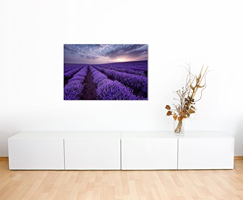 Paul Sinus Art Kunstfoto auf Leinwand 60x40cm Landschaftsfotografie - Lavendelfelder Bei Sonnenaufgang auf Leinwand Exklusives Wandbild Moderne Fotografie für Ihre Wand in Vielen Größen