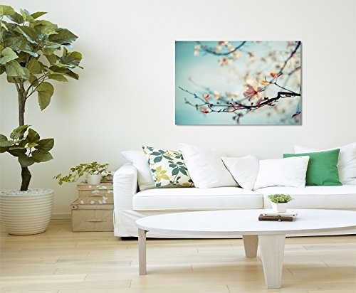 Paul Sinus Art Kunstfoto auf Leinwand 60x40cm Naturfotografie - Kirschblüten vor Blauem Himmel auf Leinwand Exklusives Wandbild Moderne Fotografie für Ihre Wand in Vielen Größen