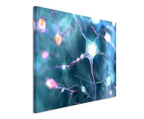 Paul Sinus Art Kunstfoto auf Leinwand 60x40cm Neuronales Netzwerk Nerven auf Leinwand Exklusives Wandbild Moderne Fotografie für Ihre Wand in Vielen Größen