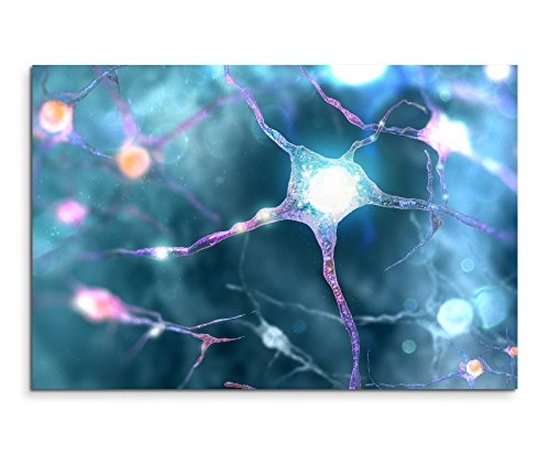 Paul Sinus Art Kunstfoto auf Leinwand 60x40cm Neuronales Netzwerk Nerven auf Leinwand Exklusives Wandbild Moderne Fotografie für Ihre Wand in Vielen Größen