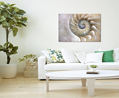 XXL Fotoleinwand 120x80cm Naturfotografie - Fibonacci Muster in der Muschel auf Leinwand exklusives Wandbild moderne Fotografie für ihre Wand in vielen Größen