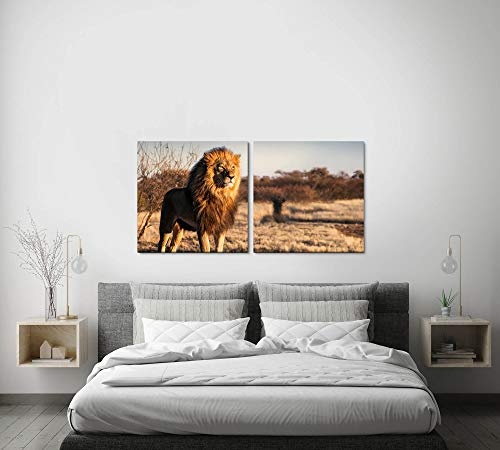 Paul Sinus Art GmbH Löwe auf Einem kleinem Berg 120x60cm - 2 Wandbilder je 60x60cm Kunstdruck modern Wandbilder XXL Wanddekoration Design Wand Bild